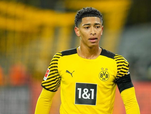 搜索引擎友 搜索引擎友