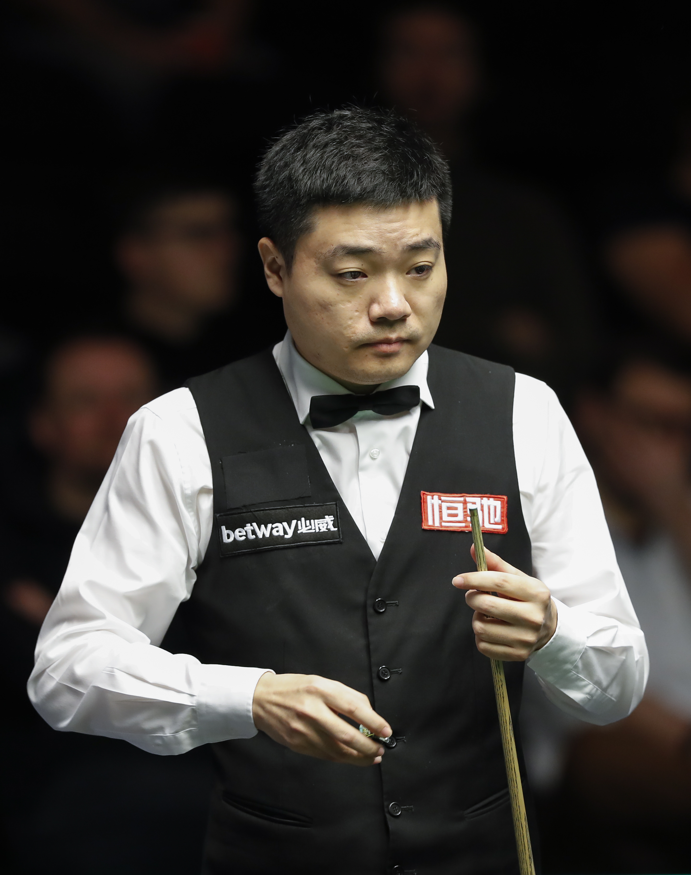 引起了广泛 引起了广泛